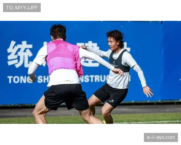 德甲冬窗开启，各队新援表现成赛季关键看点