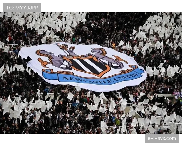 英超新星闪耀,喜鹊队开启辉煌新篇章 英超新星闪耀,喜鹊队开启辉煌新篇章