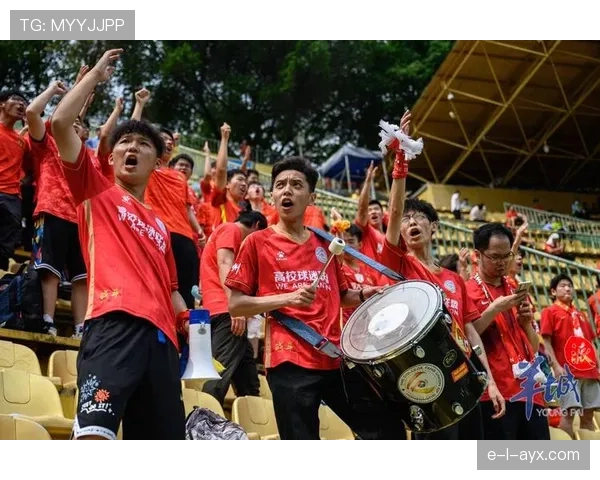 主场龙势不可挡!主队优势显著引爆球迷热情 主场龙势不可挡!主队优势显著引爆球迷热情